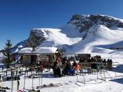 Chalet de restauration recommandé : Dohlennest