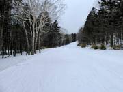 Piste facile Second Central Road