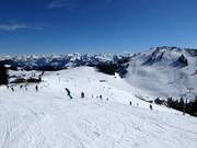 Pistes faciles au télésiège 8 places Osthang au Brandstadl à Scheffau