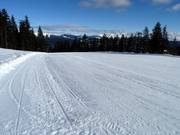 Large piste Coston n° 28