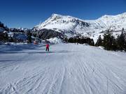 Piste Panorama