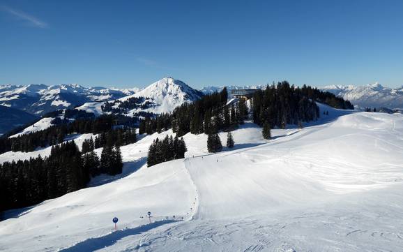 Ferienregion Hohe Salve: Taille des domaines skiables – Taille SkiWelt Wilder Kaiser-Brixental