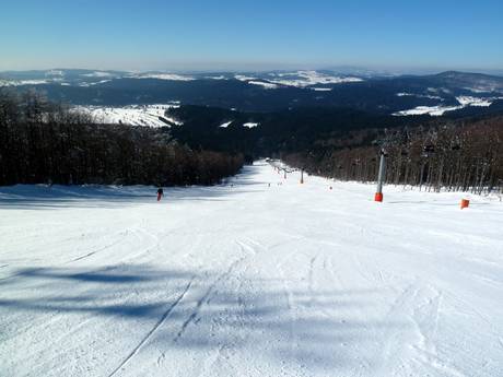 Freyung-Grafenau: Taille des domaines skiables – Taille Mitterdorf (Almberg) – Mitterfirmiansreut