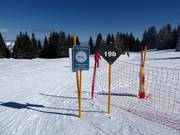 Informations sur les pistes