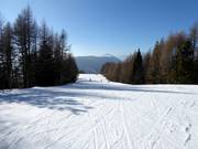 Piste Serrada n° 12