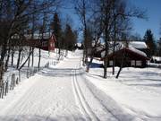Piste de ski de fond dans la vallée