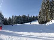 Descente sud Rittisberg
