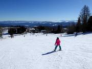 Piste facile au Zirbenlift 2