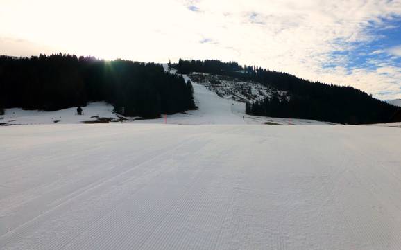 Alpsee-Grünten: Taille des domaines skiables – Taille Ofterschwang/Gunzesried – Ofterschwanger Horn