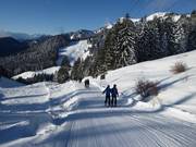 Florihanglift 1 - Téléski à pioches