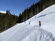 Descente sportive Chuenis-Bergläger