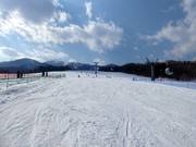 Large et facile piste Family