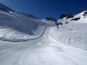 Speed line sur la piste Jochpass-Trübsee