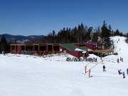 Restaurant recommandé : The Mountain Room @ Peak Lodge