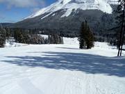 Pistes pour débutants au Green Chair