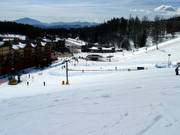 Owl Learning Area dans la zone de la vallée
