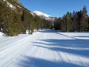 Descente jusqu'à Tschierv