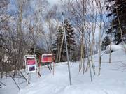 Portail vers les descentes en forêt déboisée
