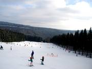 Pente Schwedenhang – particulièrement ensoleillée grâce à son exposition sud.