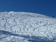 Le freeride est également possible.