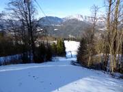 Eckerbichllift - Téléski à pioches