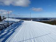 Piste facile R.1 en direction de Levi Village