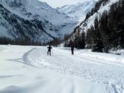 Piste de ski de fond d'altitude à Sulden