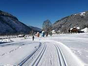 Pistes de ski de fond à Ramsau am Dachstein