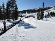 Bon plan pour les enfants : 