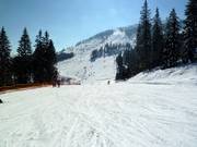 Piste familiale facile au télésiège Sonnenhang