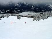 Descente Critical Path