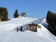 Martinella - Tapis roulant/Moving Carpet recouvert d’une galerie