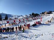 Course de ski pour enfants de l'école de ski Herbst