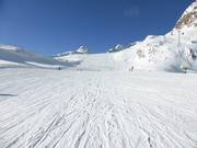 Piste facile n° 38 Tiefenbachferner