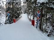 Descente jusqu’à Adelboden-Oey