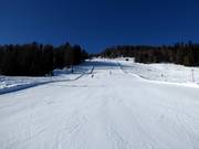 Piste n° 6