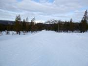 Piste facile dans la zone de la vallée Ylläs-Ski