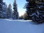 Piste de liaison vers les remontées mécaniques