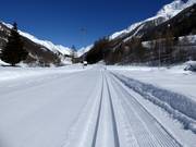 Piste de ski de fond dans le Lötschental
