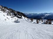 Piste intermédiaire Doss dei Cembri