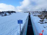 Pony Ride Carpet - Tapis roulant