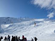 Pistes Pro Am et Shirt Front