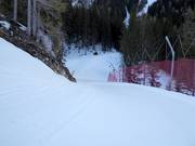 Descente facile en forêt