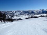 Piste Steinspretten n° 12 (Gullsteinhovda)