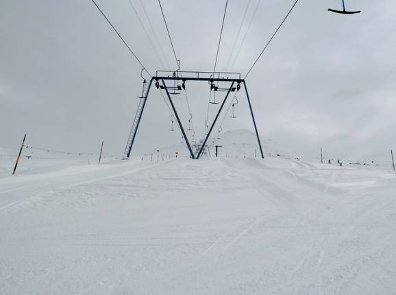 Juonli Meder-Stellerna I