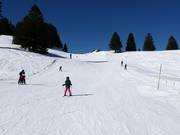 Pistes faciles au téléski Madils