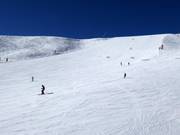 Large piste Cinque Dita