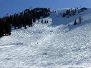 Piste à bosses à la Hohe Salve