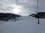 Piste de difficulté moyenne au Katzenkopf