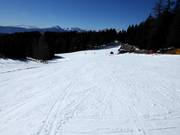 Descente à travers la forêt depuis Piffing